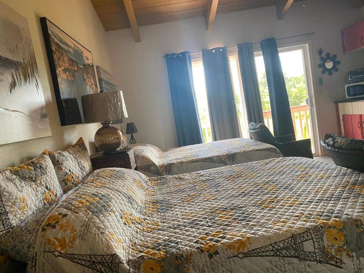 Nice Studio W/ Ac Near Kehena Beach And Lava Fields Buitenkant foto