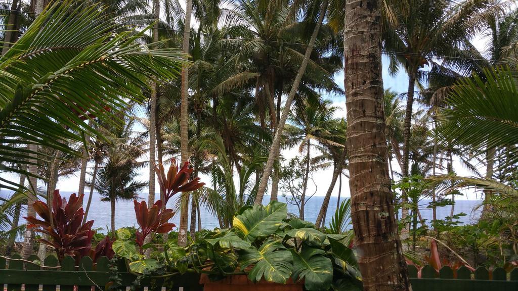Nice Studio W/ Ac Near Kehena Beach And Lava Fields Kamer foto
